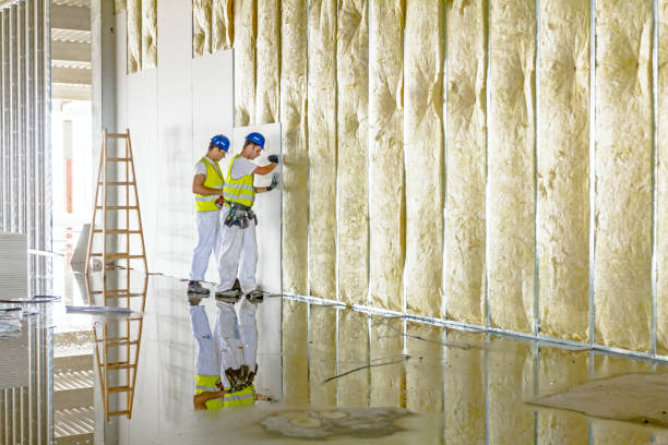 Best Insulation Replacement Services  in Wakefield, VA